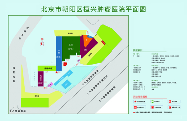 被大屌暴操北京市朝阳区桓兴肿瘤医院平面图